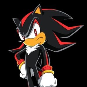 Meet your Posher, Oscar